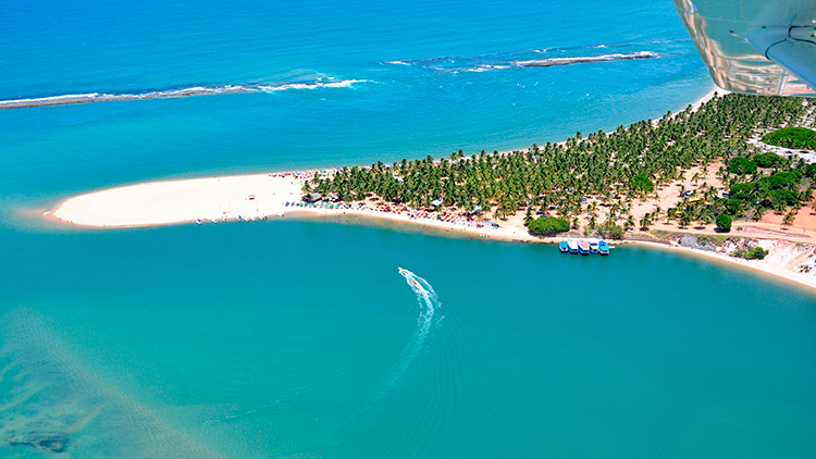 Praia do Gunga | Alagoas